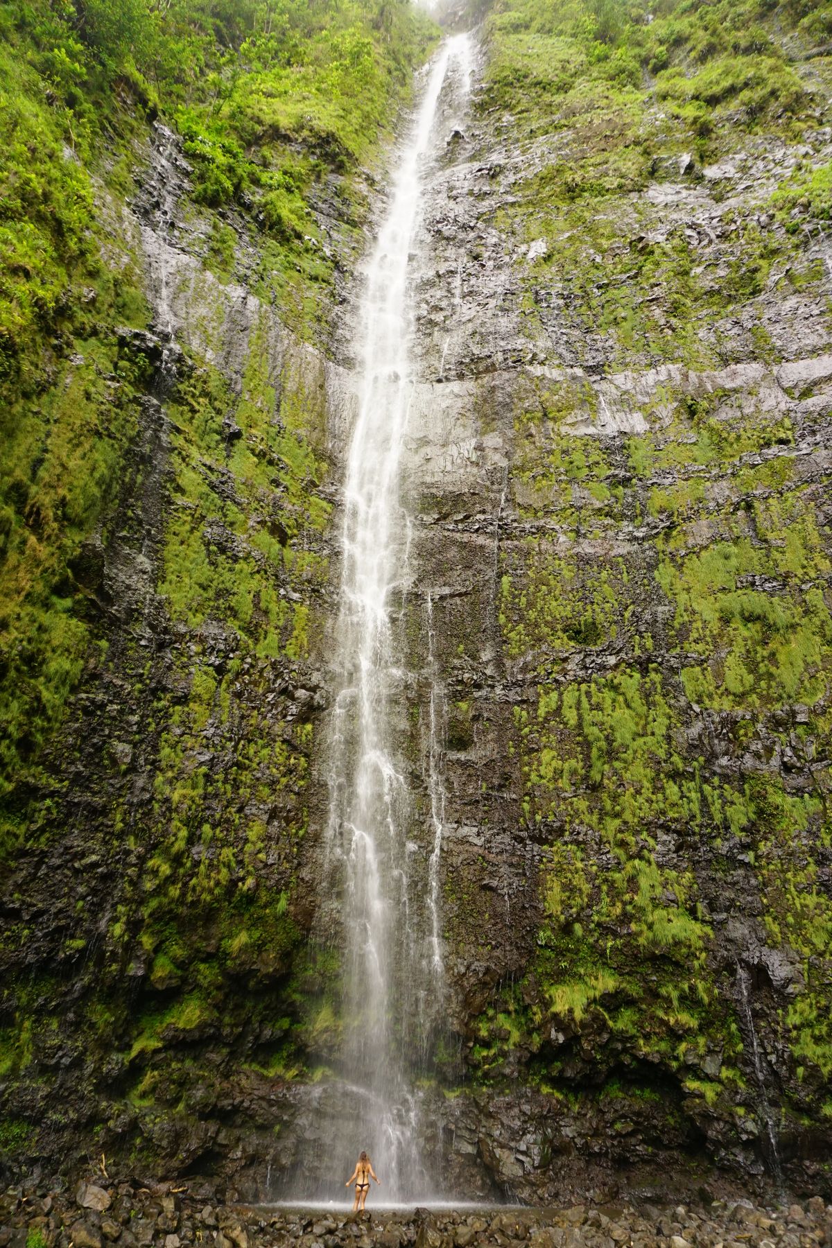 dsc03288 1