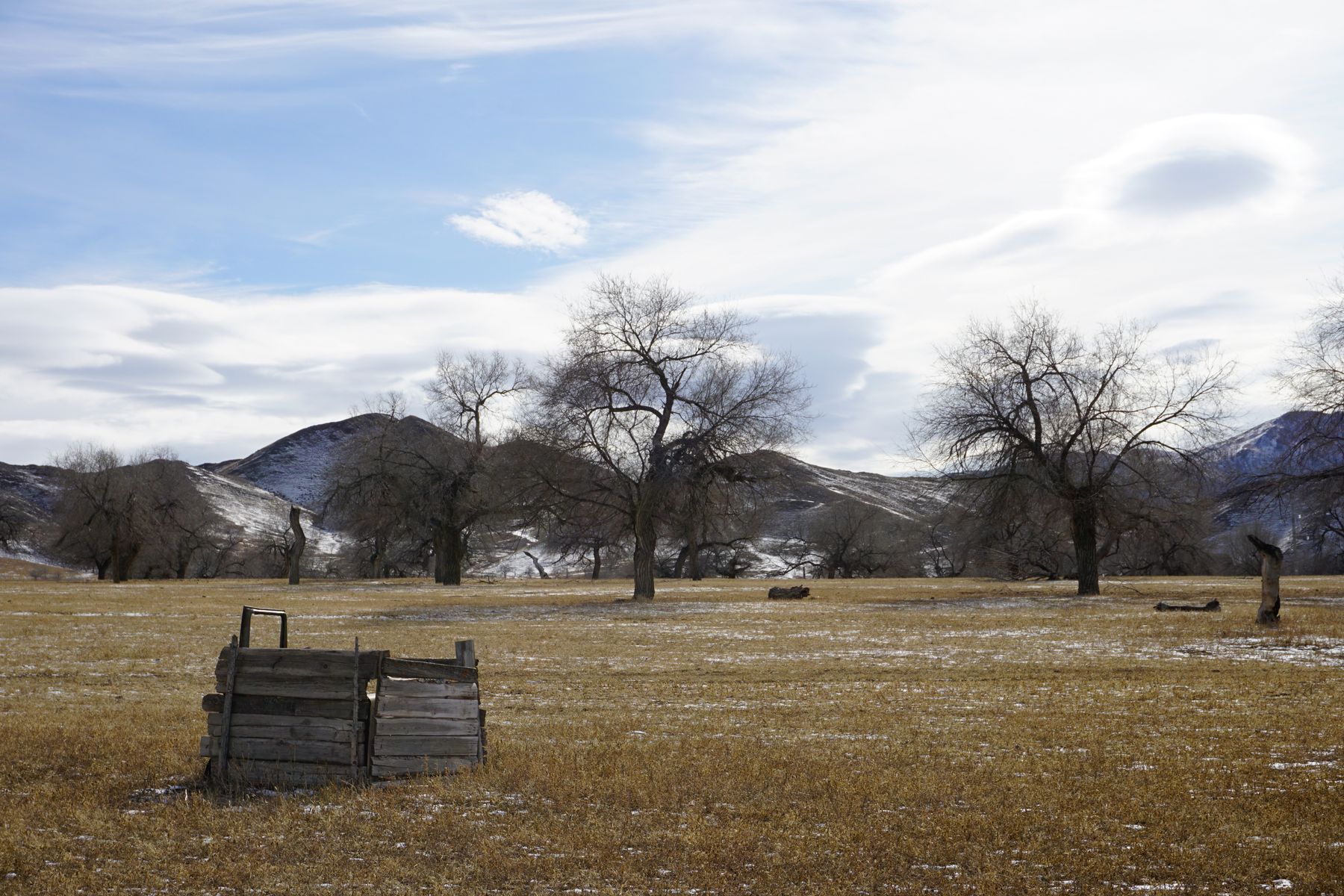 _dsc7805a 1