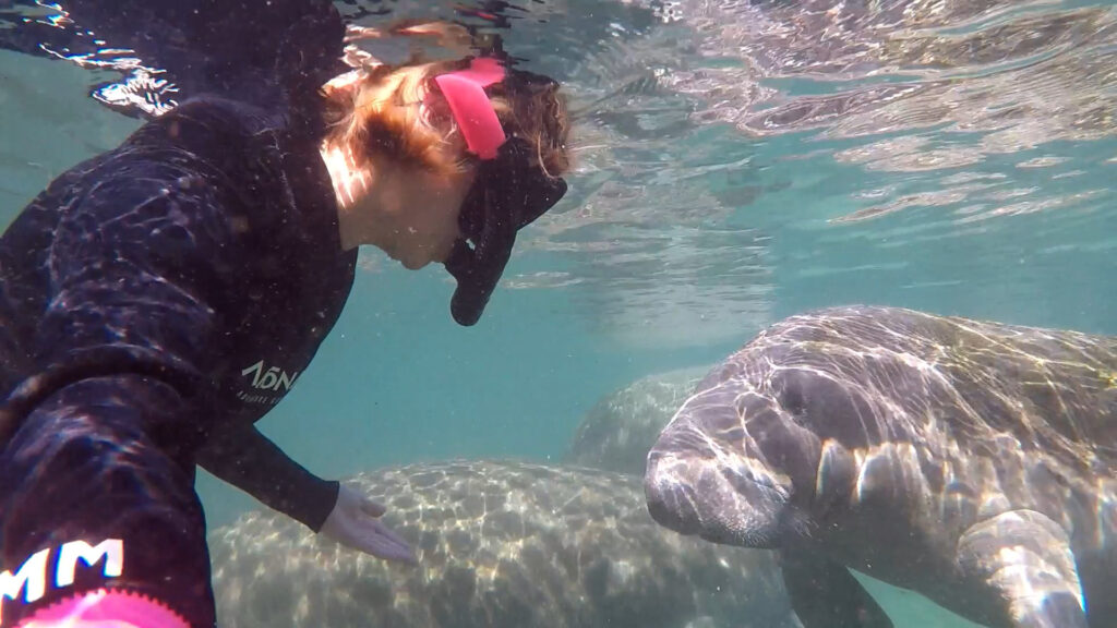 Screenshot_2026-03-27_23-48-51